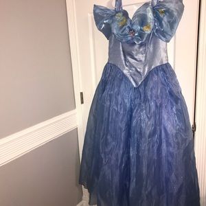 DISNEY LIMITED EDITION CINDERELLA DRESS